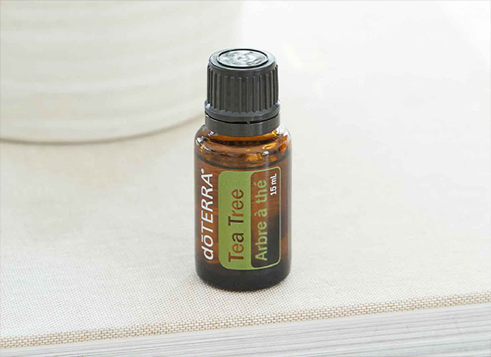 Tea Tree Oil NHP | doTERRA Essential Oils